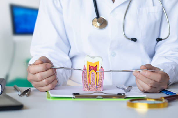 Best Dentist for Tooth Abscess  in Hooks, TX